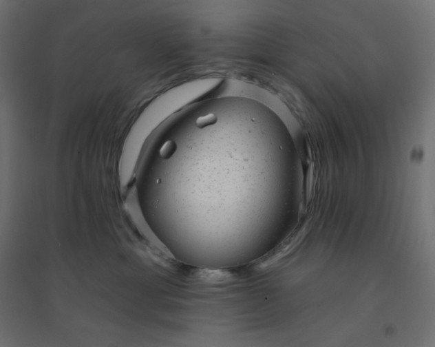 X0000094460429200711211545