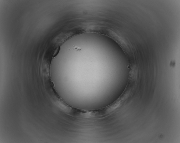 X0000094460430200711211545