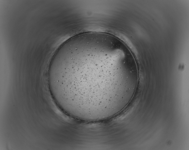 X0000094460433200711211544