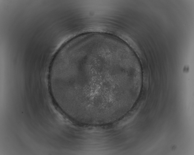 X0000094460434200711211544