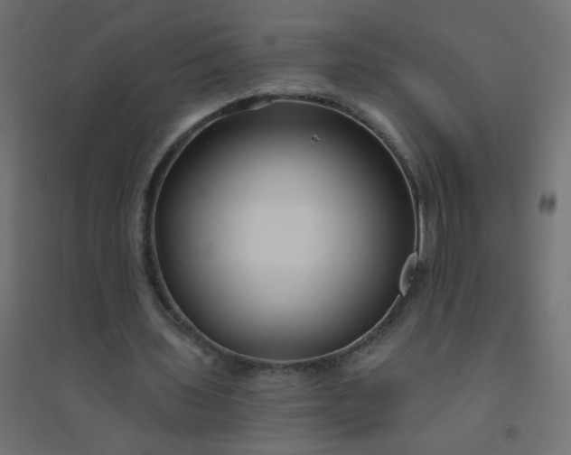 X0000094460435200711211544