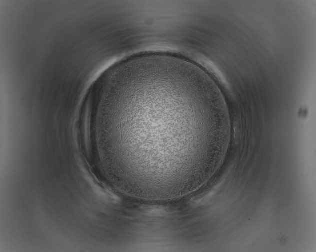 X0000094460436200711211544