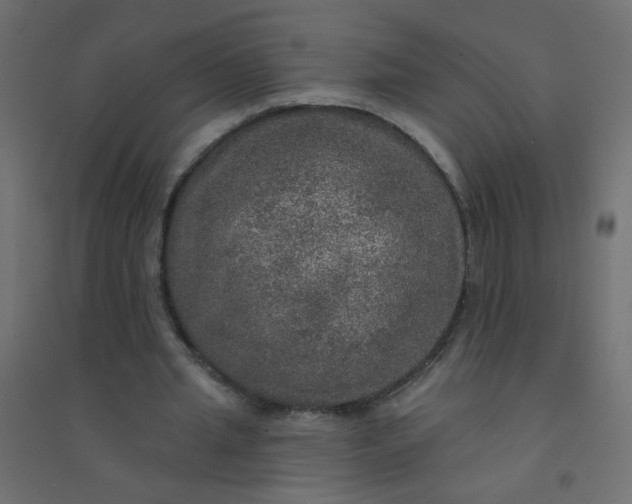 X0000094460437200711211544