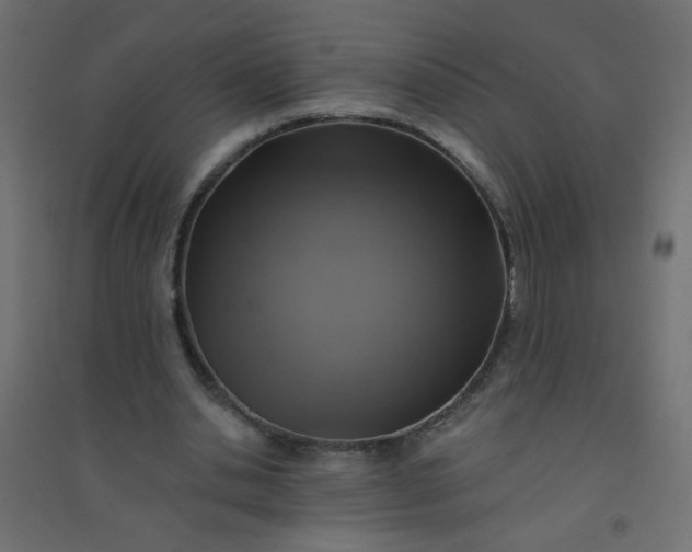 X0000094460438200711211544