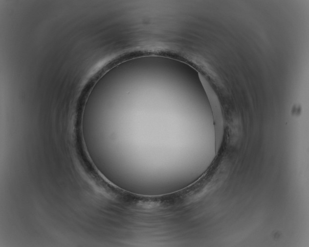 X0000094460440200711211544