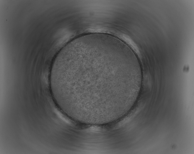 X0000094460441200711211544