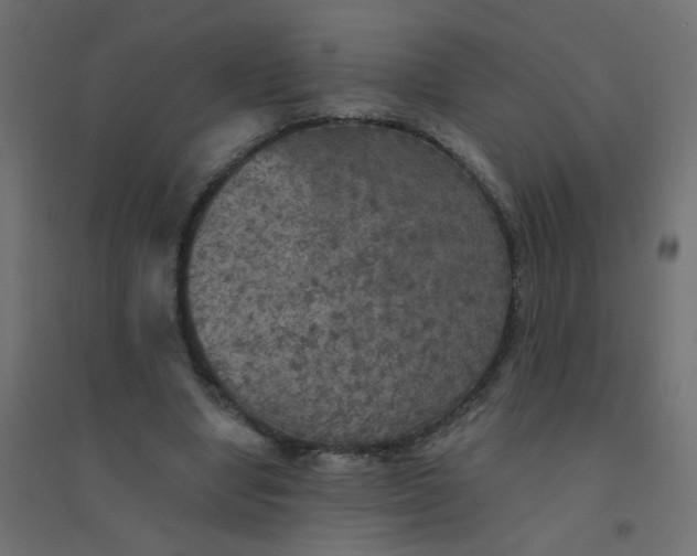 X0000094460442200711211544