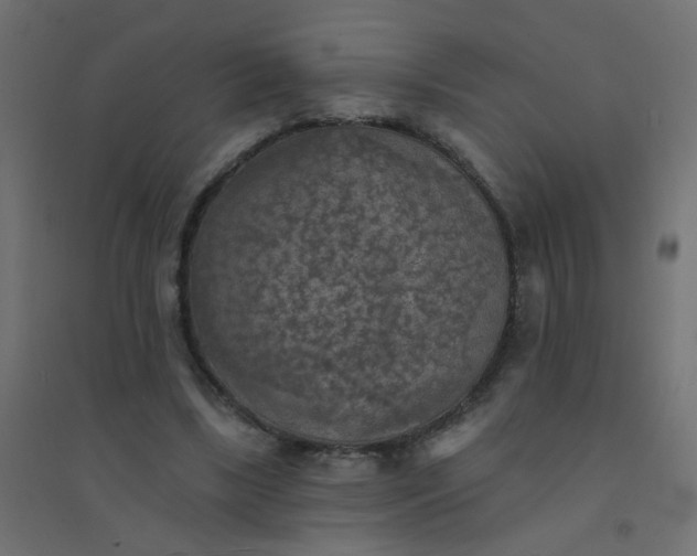 X0000094460443200711211544