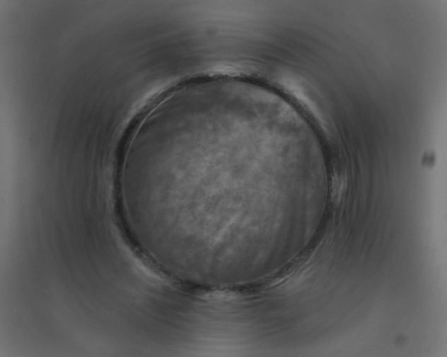 X0000094460444200711211544