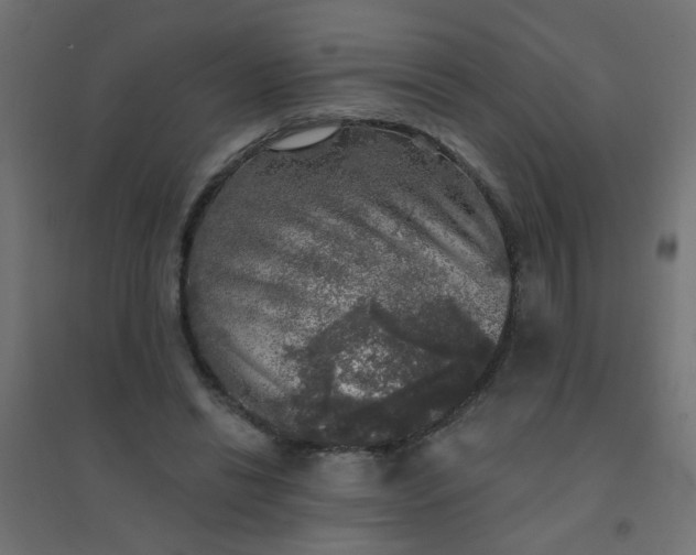 X0000094460446200711211544