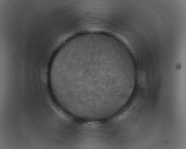 X0000094460447200711211544