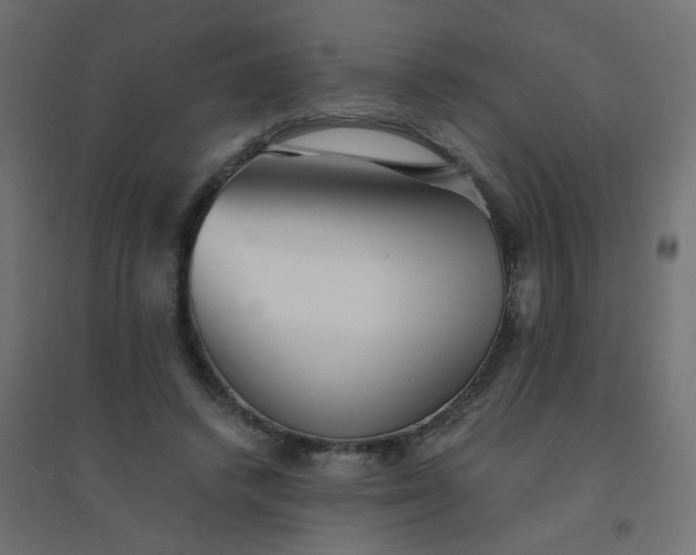 X0000094460448200711211544