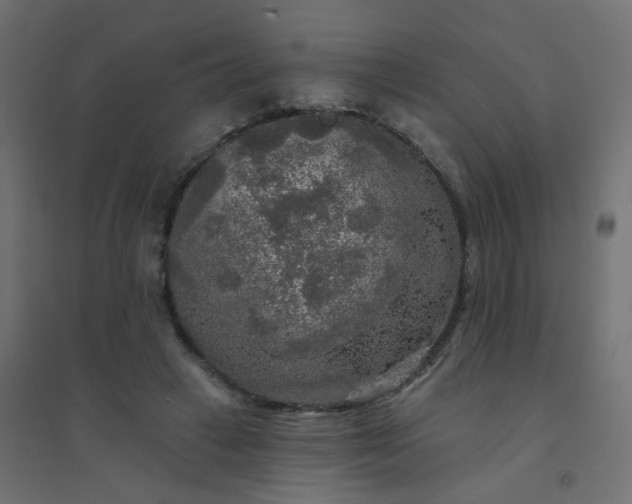 X0000094460449200711211544