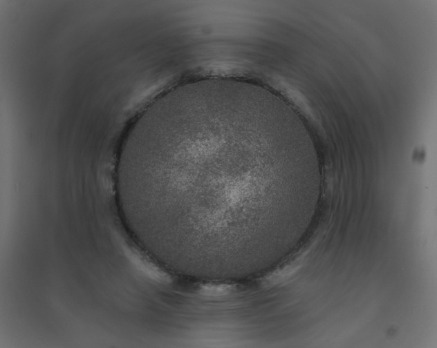 X0000094460450200711211544