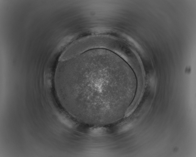 X0000094460452200711211544