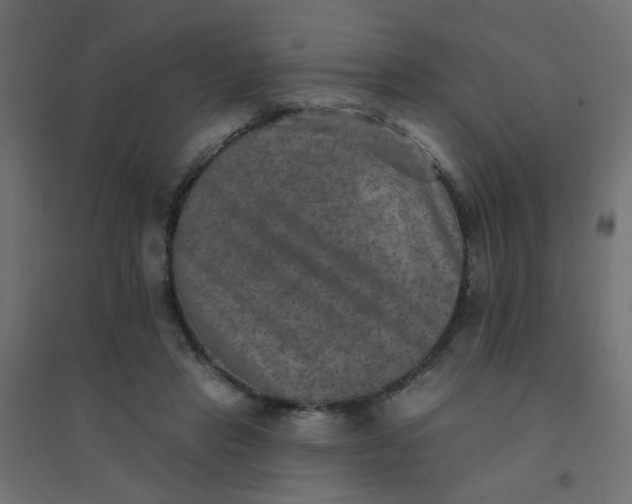 X0000094460453200711211544