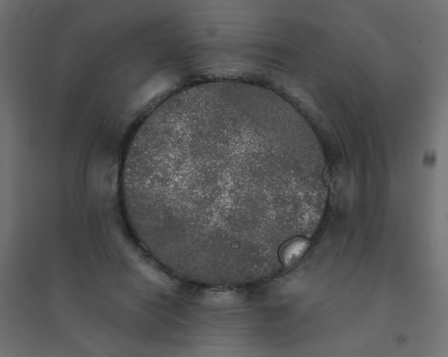 X0000094460454200711211544