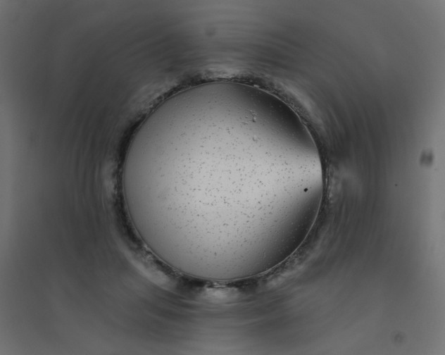 X0000094460455200711211544