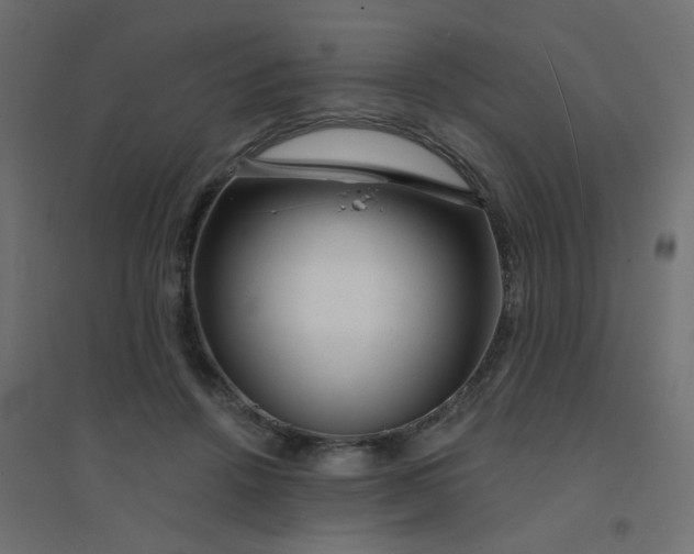 X0000094460456200711211544