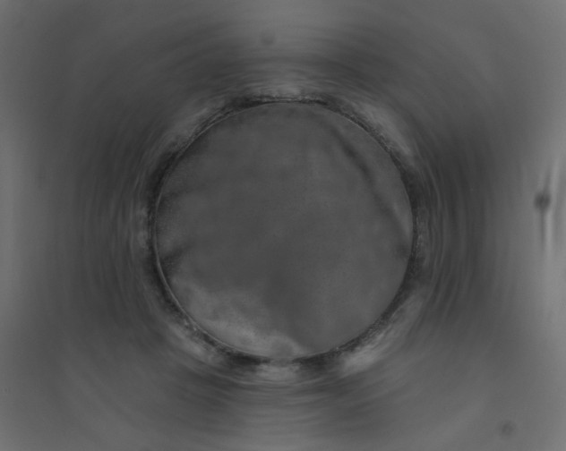 X0000094460457200711211544