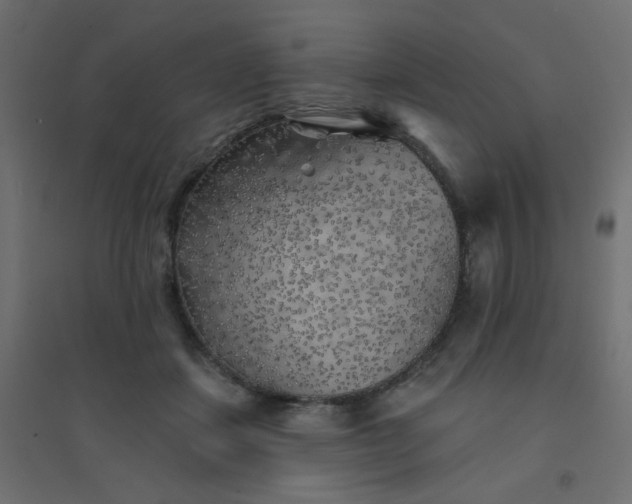 X0000094460459200711211544