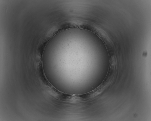 X0000094460463200711211544