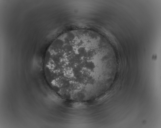 X0000094460465200711211544