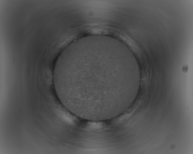 X0000094460469200711211544