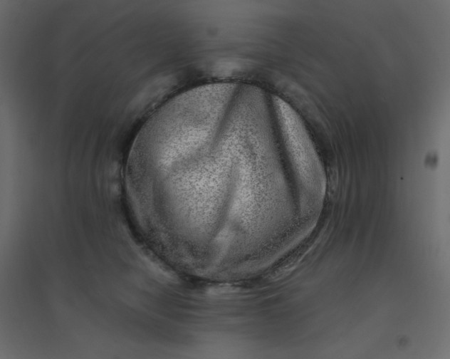 X0000094460470200711211544