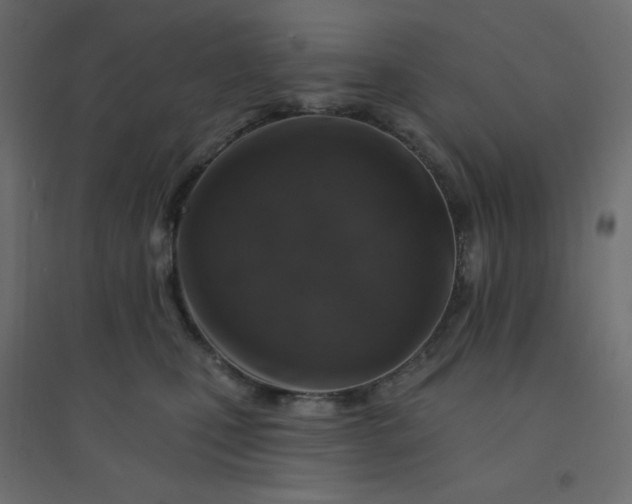 X0000094460471200711211544