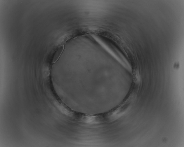 X0000094460472200711211544