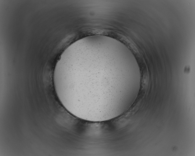 X0000094460473200711211544