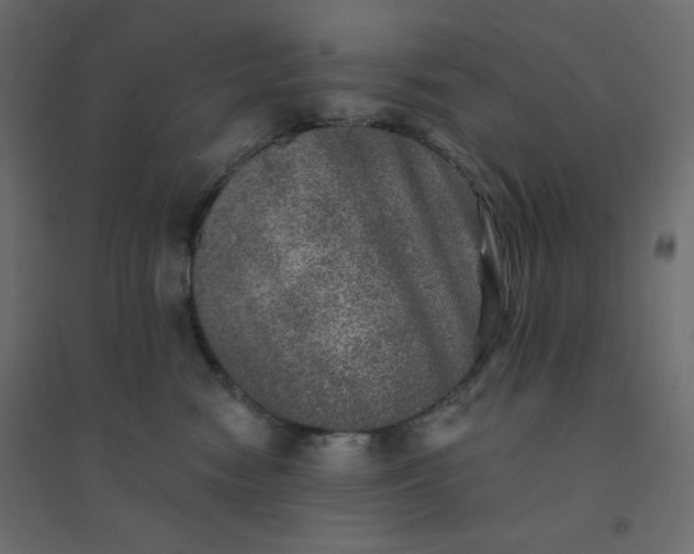 X0000094460474200711211544