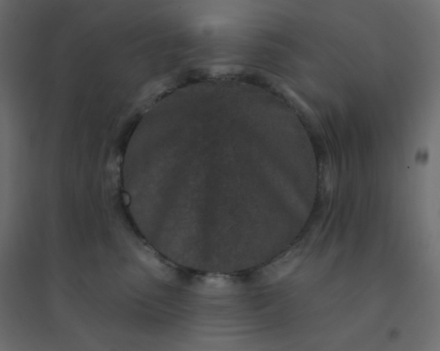 X0000094460475200711211544