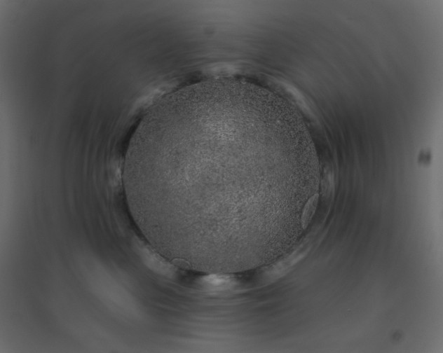 X0000094460477200711211545