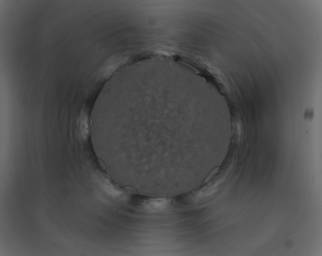 X0000094460479200711211545