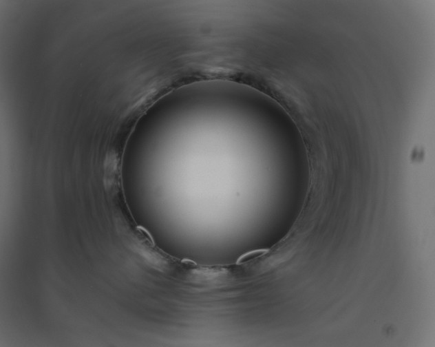 X0000094460480200711211545