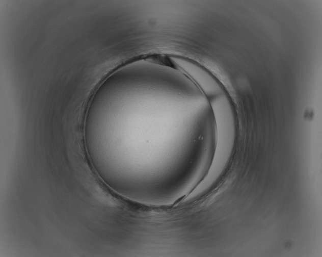 X0000094460481200711211544