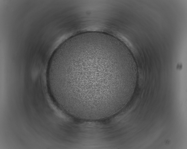 X0000094460482200711211544