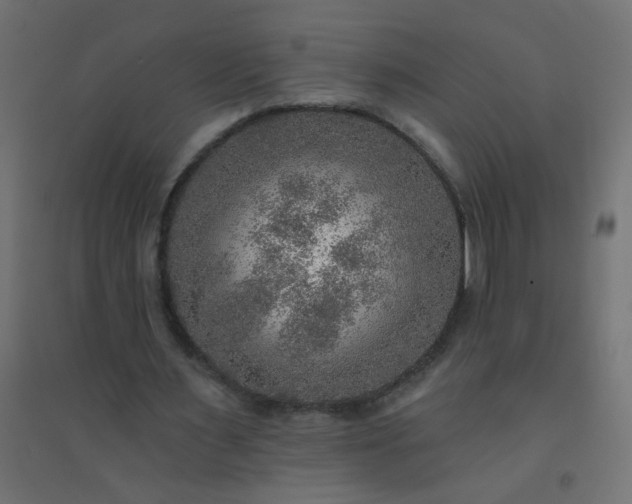 X0000094460483200711211544