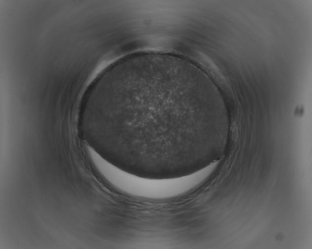 X0000094460484200711211544