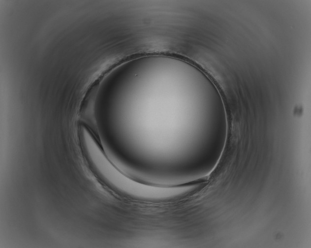 X0000094460485200711211544