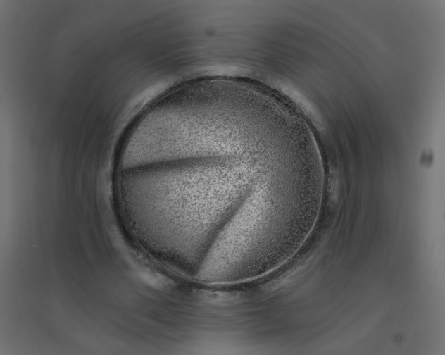 X0000094460486200711211544