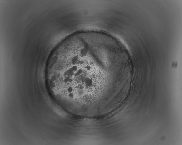 X0000094460487200711211544