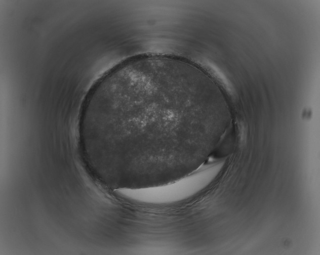 X0000094460488200711211544