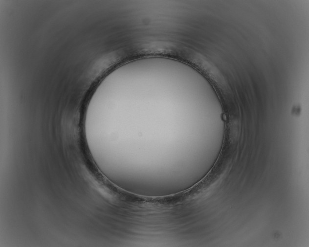 X0000094460490200711211544