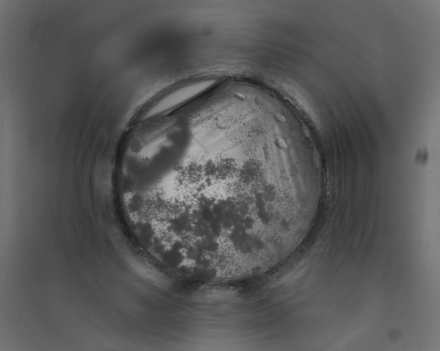 X0000094460491200711211544