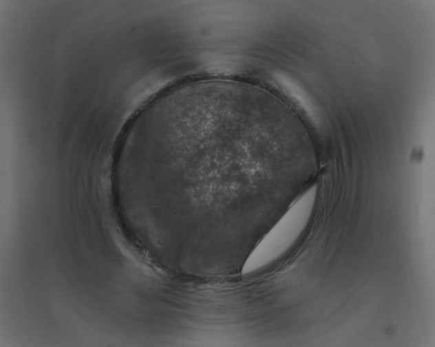 X0000094460492200711211544