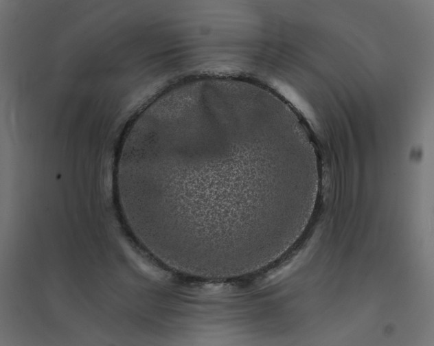 X0000094460493200711211544