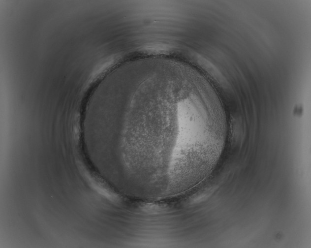 X0000094460494200711211544